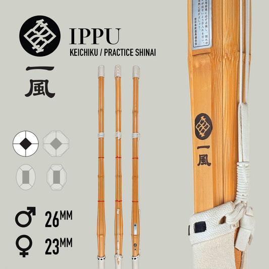 Ippu - Practice Shinai